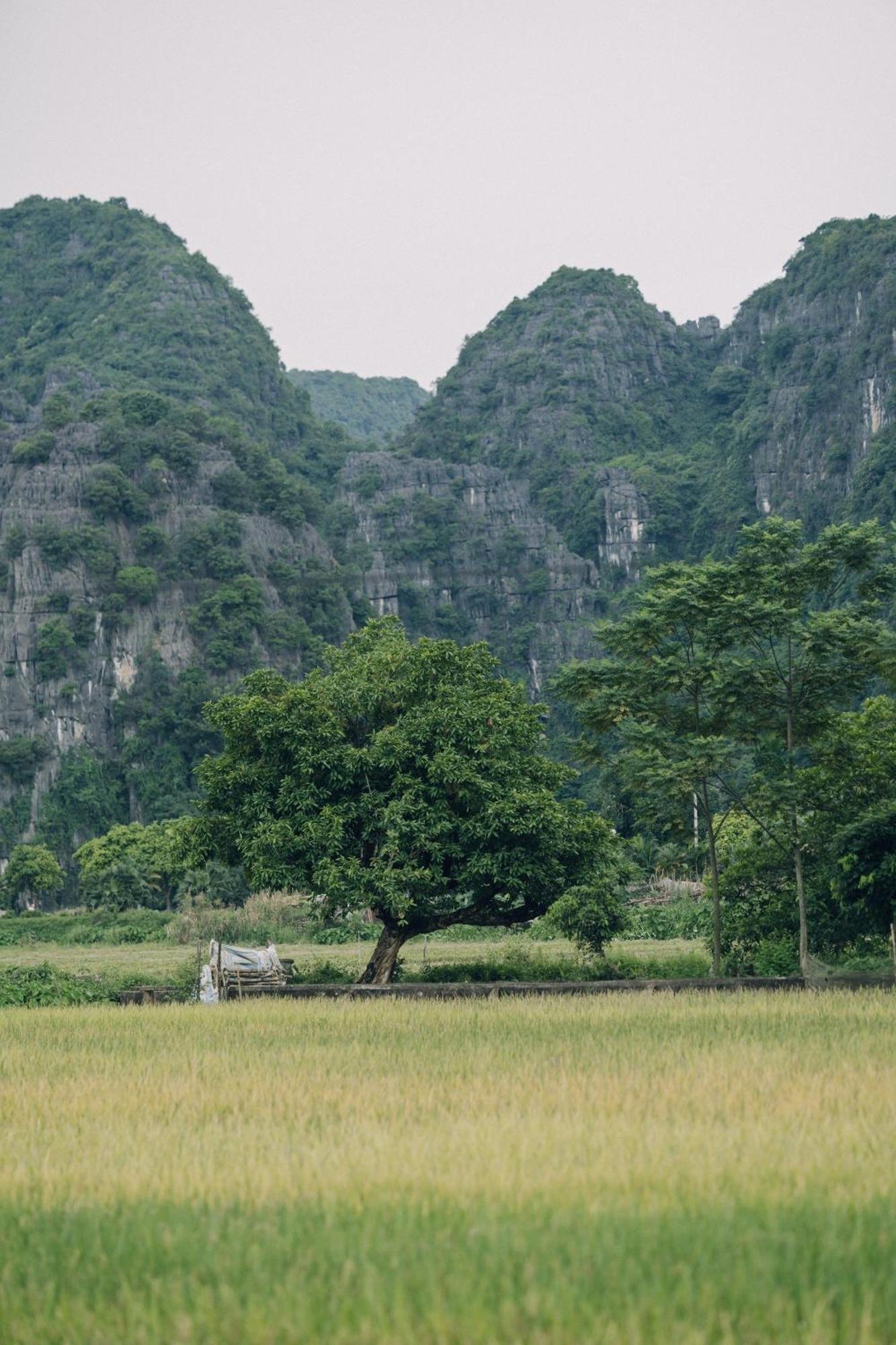 Вилла Tam Coc Windy Fields Ниньбинь Экстерьер фото